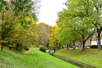 autumn in the park