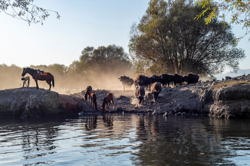 Fototapete bei efototapeten.de bestellen   