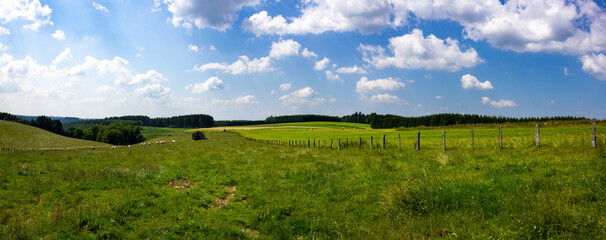 Panoramic summer landscape of several pastures and meadows in Curfô (Bouillon, Belgium) © Sander V.w.