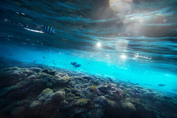 Design template with underwater part.