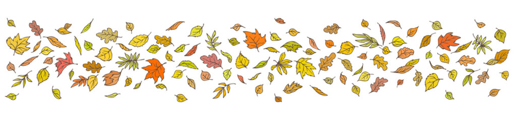 Border of flying autumn leaves on a white background. Vector illustration.