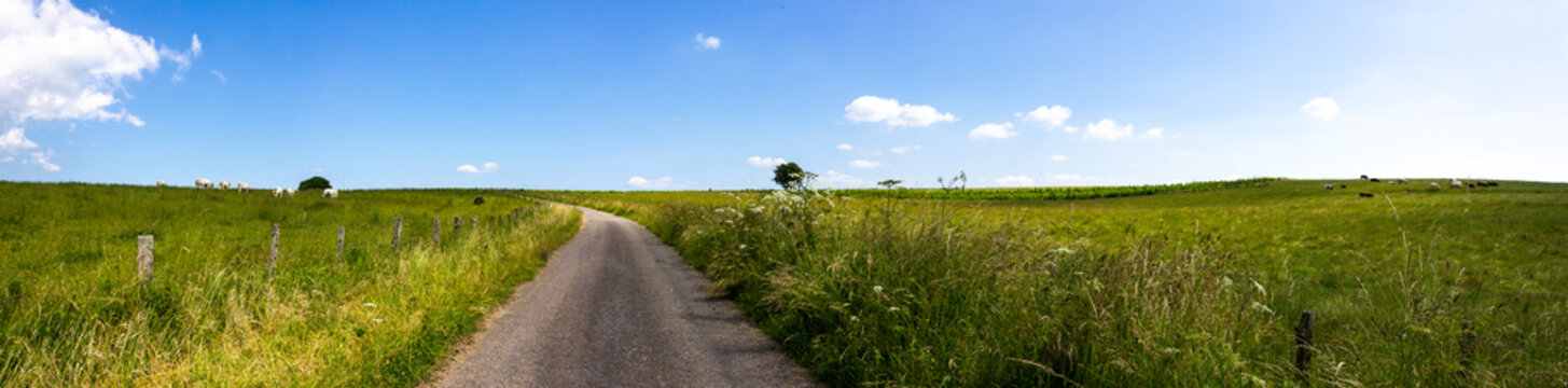 Panoramic meadow landscape with small country road in Curfoz (Bouillon, Belgium)