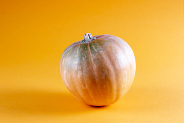Small bright yellow pumpkin to the yellow background. Autumn concept, modern style food picture
