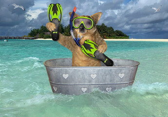 A dog diver with a mask, a snorkel and flippers in a washtub is drifting near a beach of a tropical...