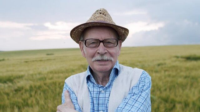 Portrait of mustached senior man looking and talking into camera in barley field