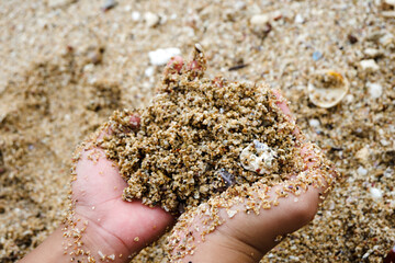 sand in the hands