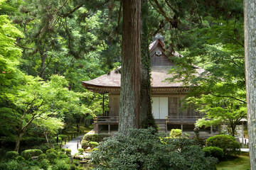 三千院　往生極楽院