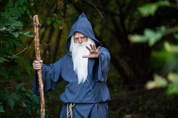 A wizard with a long gray beard casts a spell in a dense forest