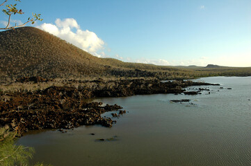 Landscape Galapagos