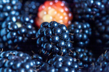 Blackberries close-up. Shallow depth of field.