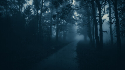 Obraz premium Misty landscape with fir forest in hipster vintage retro style, Scenery with path in dreamy foggy forest
