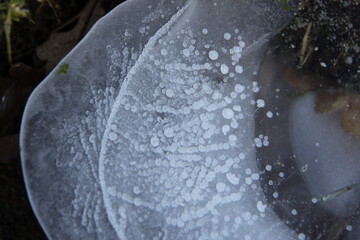 Beautiful ice pattern on a frozen ditch	
