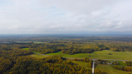 Fototapeta na wymiar Aerial view of the autumn European forest with yellow and green trees