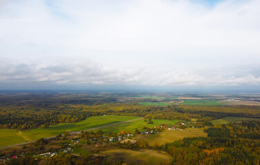 Aerial view of the autumn European forest with yellow and green trees