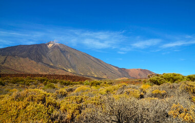 View of El Teide volcano in the National Park of Las Canadas del Teide,Tenerife,Canary...
