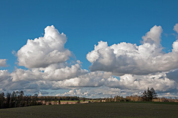 rural landscape in spring