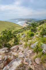 Naklejka premium african view