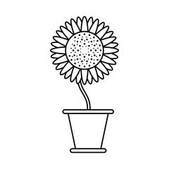 sunflower growth plant in ceramic pot line style icon