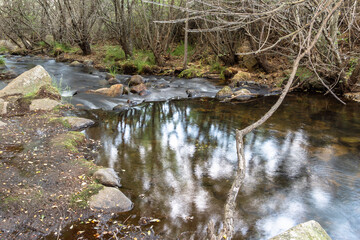 naturaleza,rios,arboles