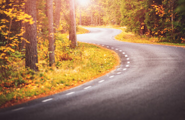 Fototapeta premium Asphalt road with beautiful trees on the sides in autumn