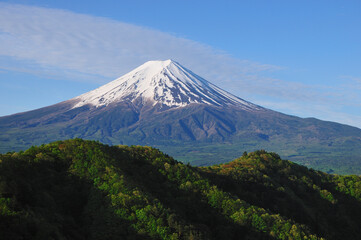 Fototapeta premium 富士山