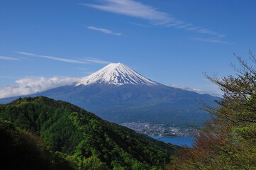 富士山