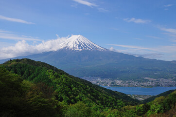 Fototapeta premium 富士山