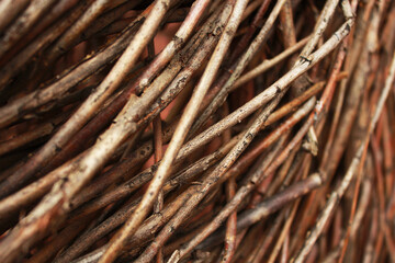 dry branches in macro photography