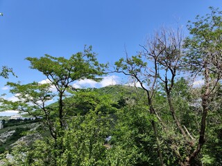 Pyatigorsk, Kislovodsk, mount Mashuk and Beshtau