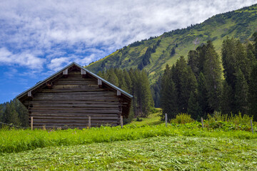 alte Holzh&uuml;tte in gr&uuml;ner Landschaft vor bew&ouml;lktem Himmel
