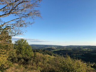 Waldlandschaft mit Himmel