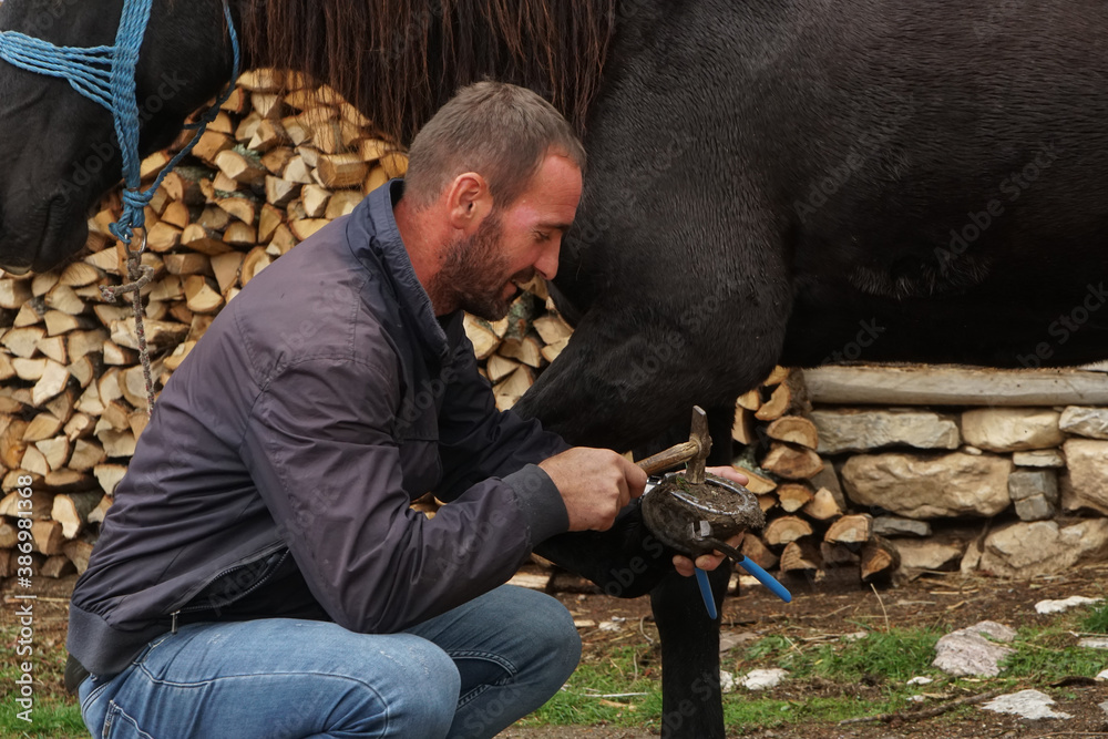 Wall mural The master pincers removes the grown nail. A farrier works on a horse foot to clean it before creating a horseshoe for the animal