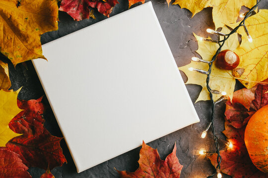 Blank white canvas board and autumn maple leaves. Mockup poster with autumn decorations.
