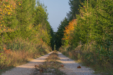 Hiking and cycling trail on former railway line 