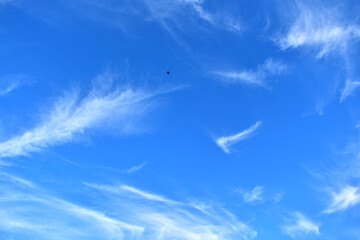 Blue sky with white feathery clouds and a flying bird in it.