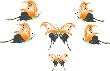 Obraz premium A butterfly isolated from a white background