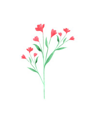 Watercolor hand painted illustration of pink flowers