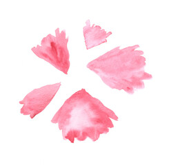 Watercolor hand painted illustration of pink floral petals. Scrapbook element.