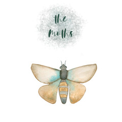 Watercolor illustration of a moth butterfly. Drawn by hand with watercolors and is suitable for all types of design and printing.