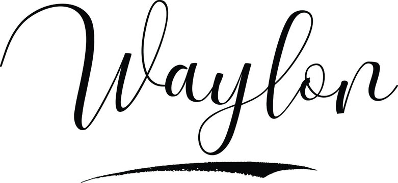 Waylon In Cursive 「Waylon」の写真素材 | 17件の無料イラスト画像 | Adobe Stock