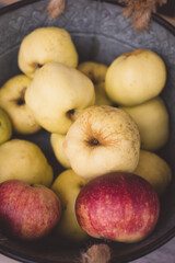 Garden apples in a large vintage iron bowl, coutryside harvest concept