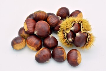 Castañas maduras dentro y fuera de sus erizos, aislado