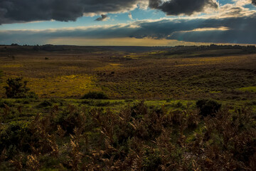 Sunlight pierces through the clouds over the  heathland in the New Forest near Fordingbridge, UK in Autumn