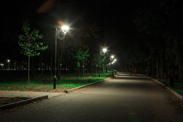 Lanterns in the park along the alley at night or at night