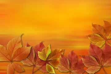 Autumn background. Colorful red and orange fall leaves on motion blur background with copy space for writing.