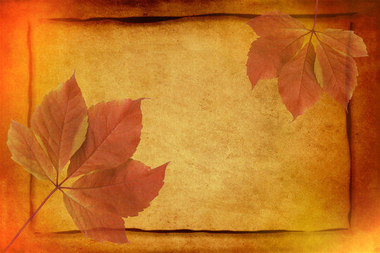 Autumn background. with frame and colorful red and orange fall leaves on golden vintage paper with grunge texture background and copy space for writing.