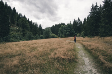 Fototapeta na wymiar Hiking in the valley of Oker in Harz Mountains