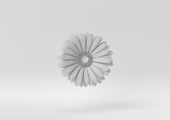 Creative minimal paper idea. Concept white flower with white background. 3d render, 3d illustration.