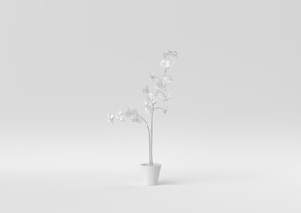 Obraz premium Creative minimal paper idea. Concept white flower with white background. 3d render, 3d illustration.