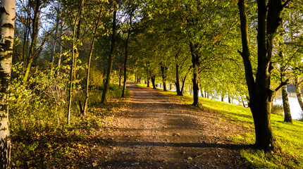 Fototapeta na wymiar Autumn road with the setting sun
